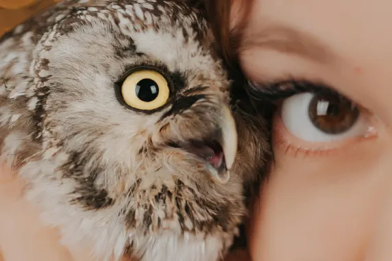 VegasWild Casino Stuðningur